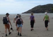 Beach Walks on tour to Cape York