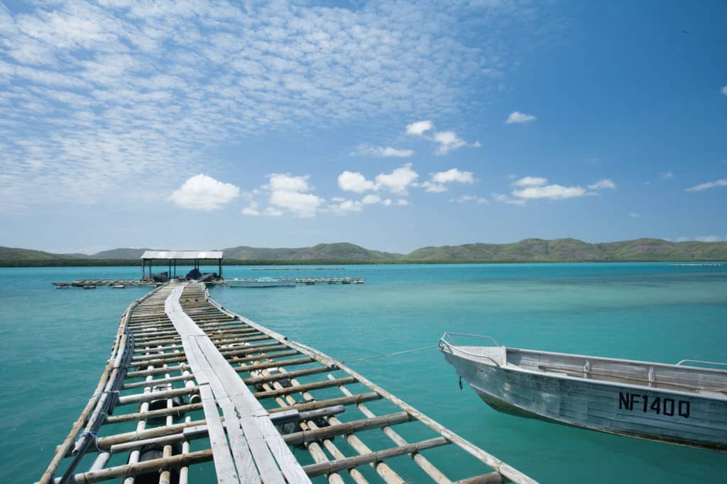 Friday Island Floating wooden jetty leading to a tin-roofed shelter over turquoise waters in Cape York’s Torres Strait, with aluminium boat moored alongside