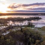 Aerial Shot of Wetlands Cape York Tours