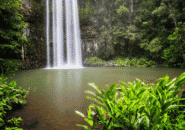 Premium Cape York Tour Waterfall Queensland