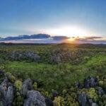 Cape York Tours QLD