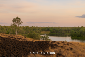 “Outback landscape at Kinrara Station with volcanic rocks and native bush”
